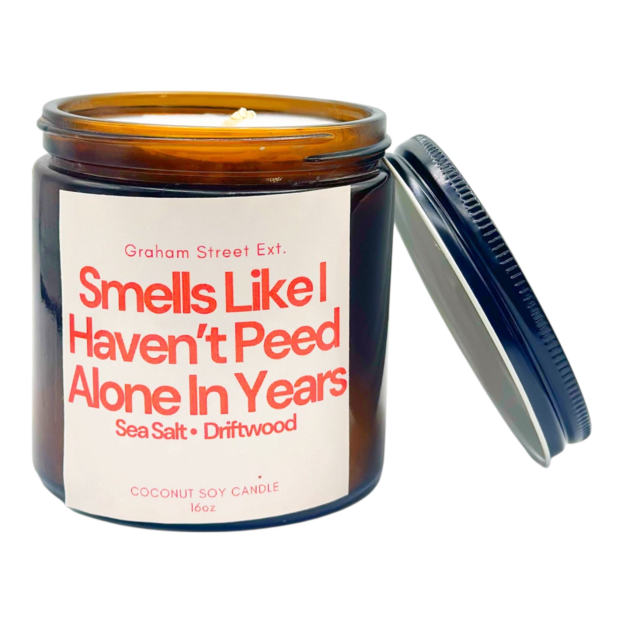 SMELLS LIKE  I HAVEN'T PEED ALONE IN YEARS CANDLE